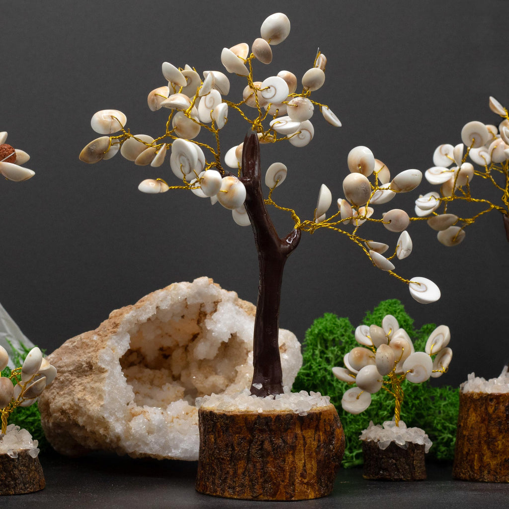 Large Gomati Chakra Circle Stone Tree - (60 stones)