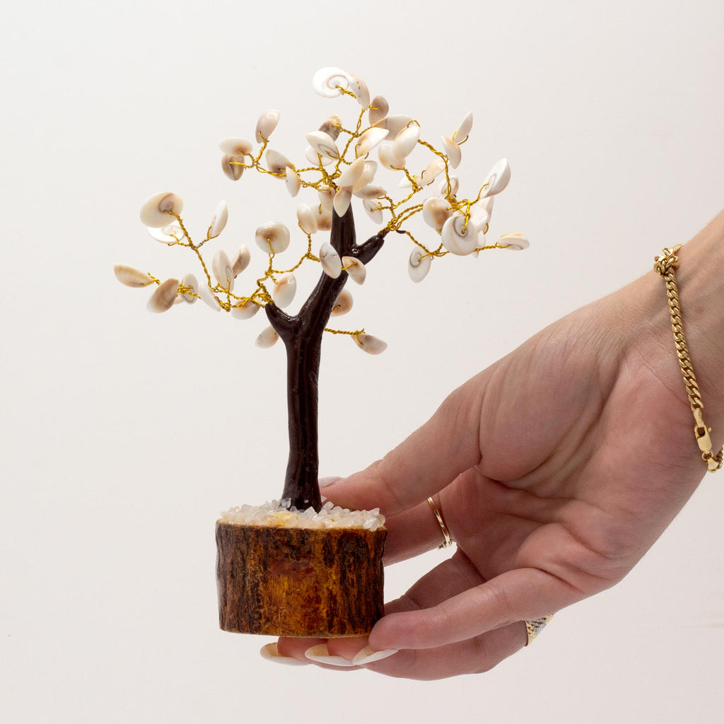 Large Gomati Chakra Circle Stone Tree - (60 stones)
