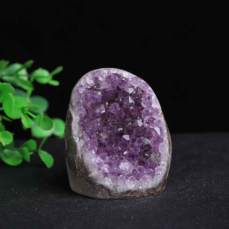 Large Statement Natural Raw Amethyst Geode Cluster