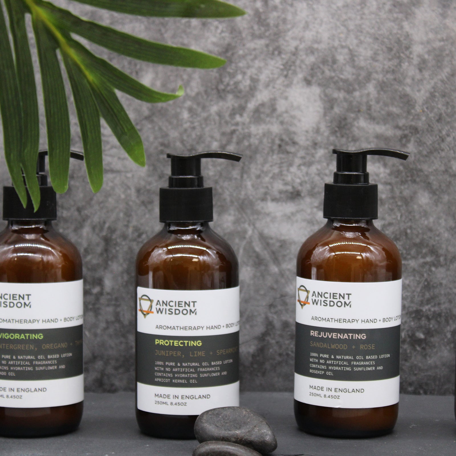 Tangerine, Ylang Ylang & Patchouli Hand & Body Lotion 250ml