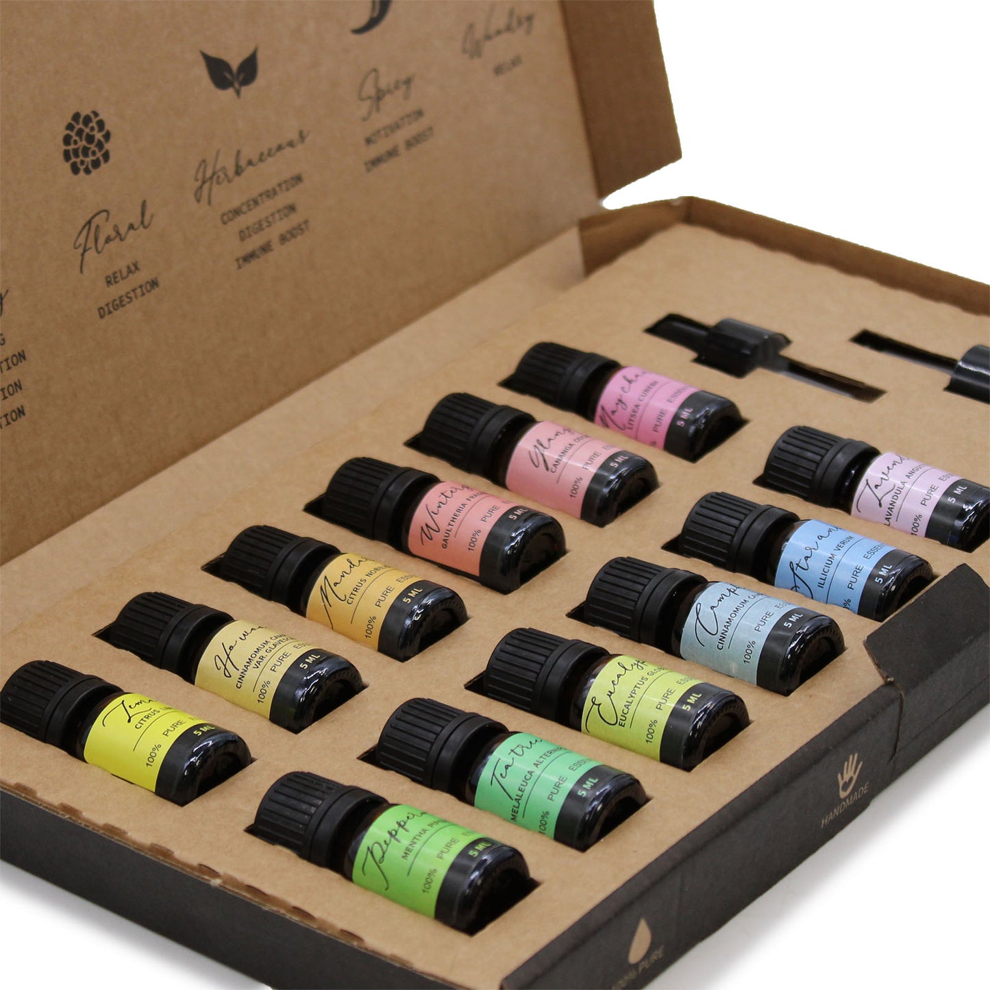 Aromatherapy Essential Oil Starter Set