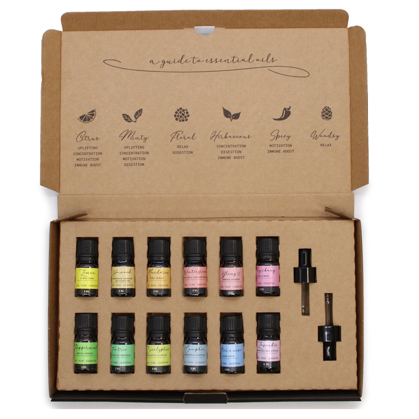 Aromatherapy Essential Oil Starter Set