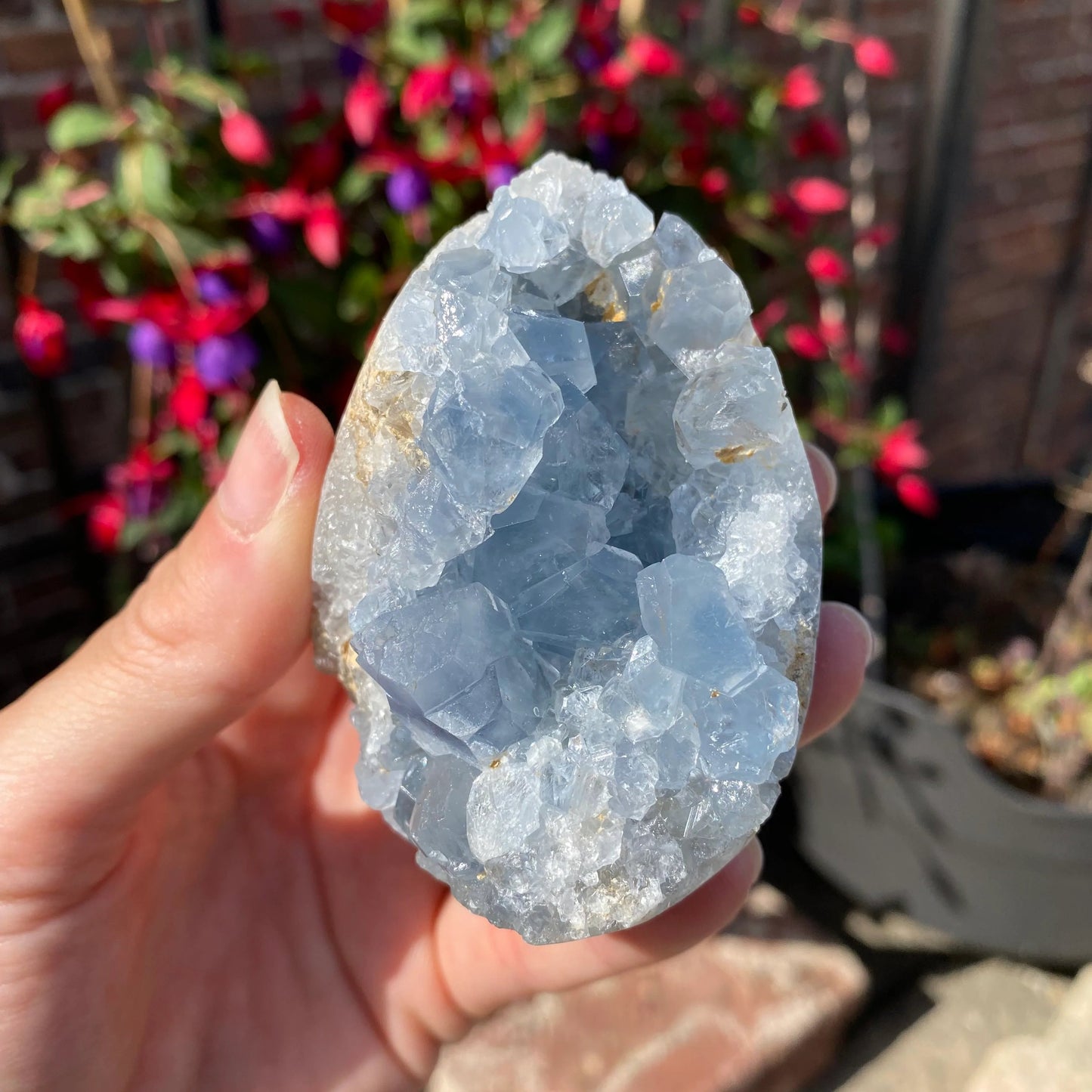 Madagascan Celestite Crystal Geode